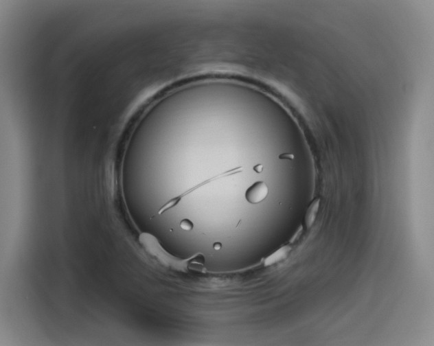 X0000114211271200910161240