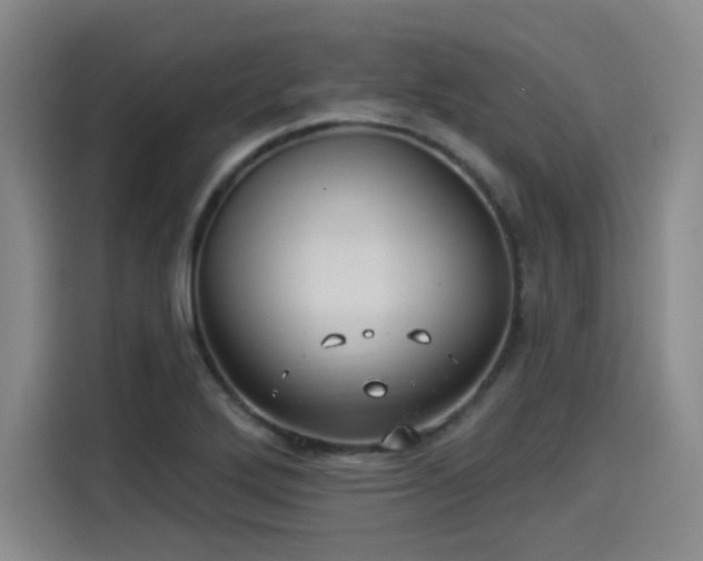 X0000114211272200910161240