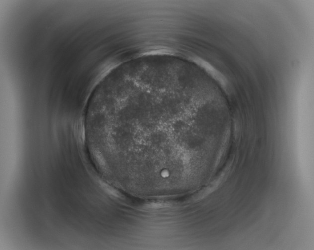 X0000114211274200910161240