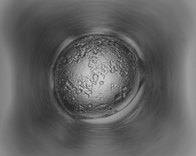 X0000114211275200910161240