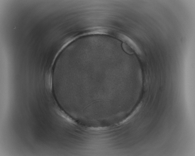 X0000114211276200910161240