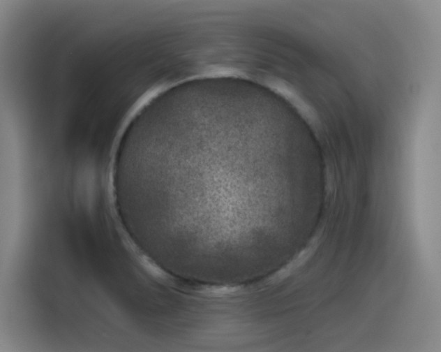 X0000114211278200910161240