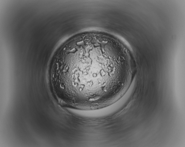 X0000114211279200910161240