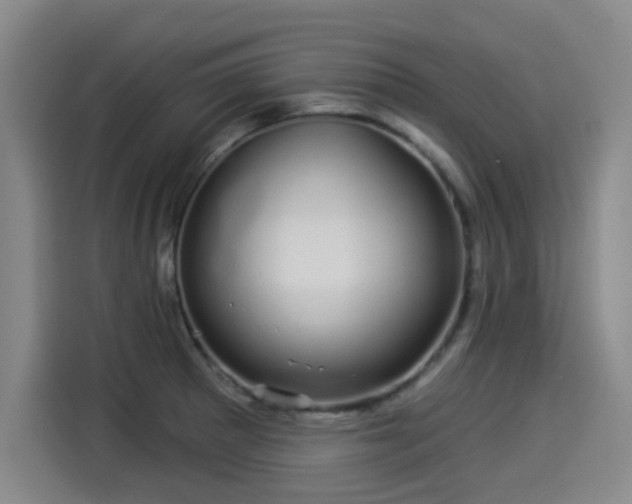 X0000114211281200910161240