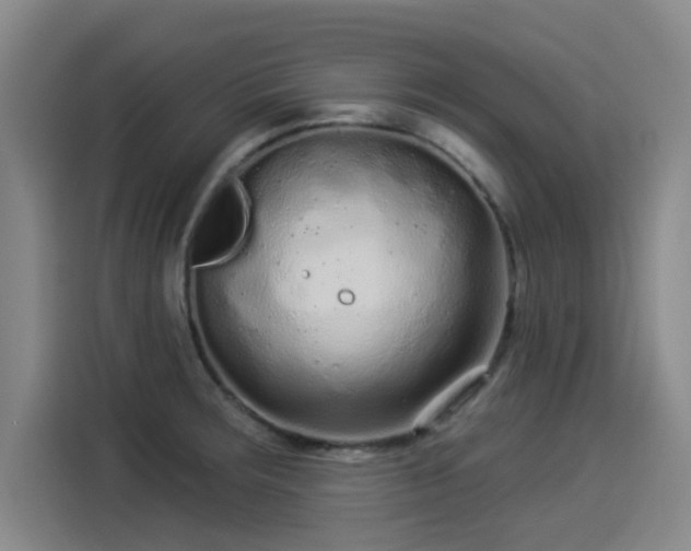 X0000114211283200910161240
