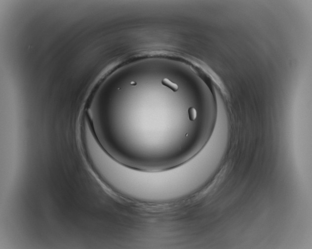 X0000114211285200910161240