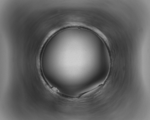 X0000114211287200910161240