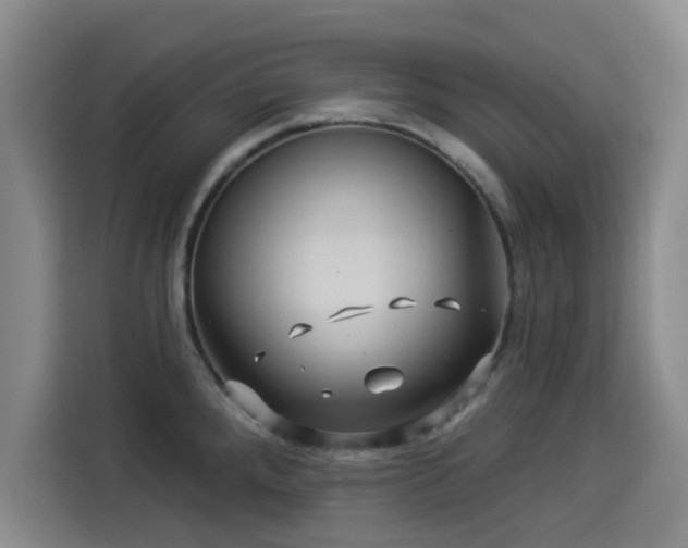X0000114211288200910161240