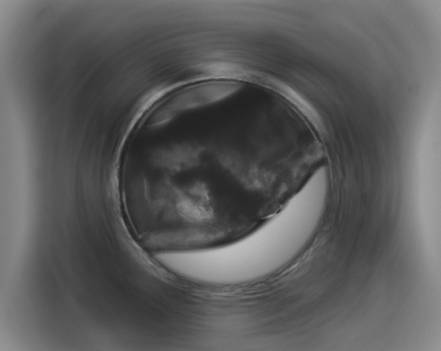 X0000114211291200910161240