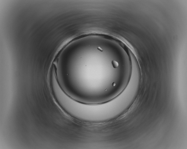 X0000114211293200910161240