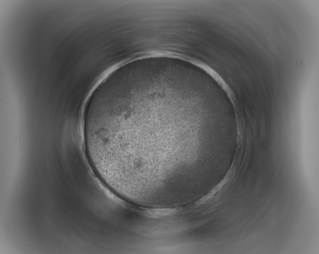 X0000114211294200910161240