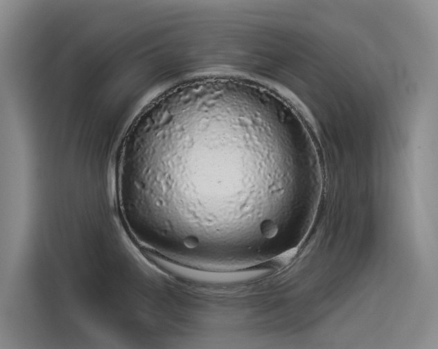 X0000114211295200910161240