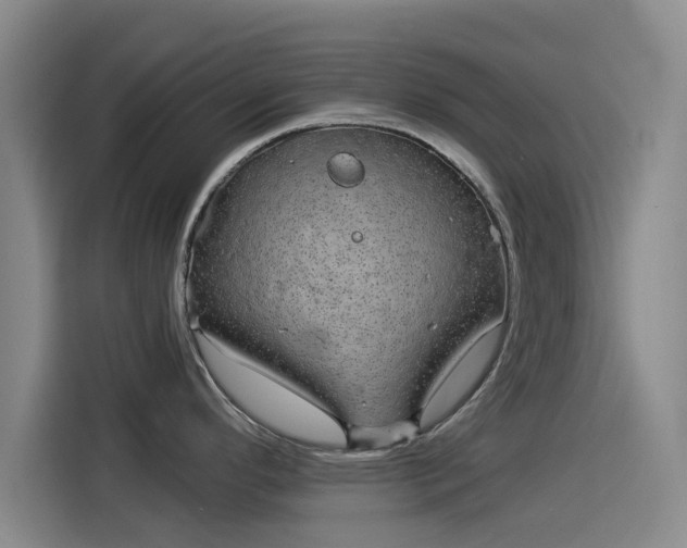 X0000114211296200910161240