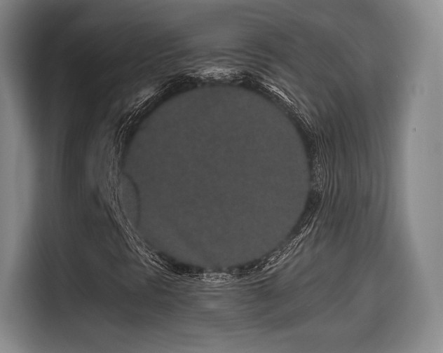 X0000114211297200910161239