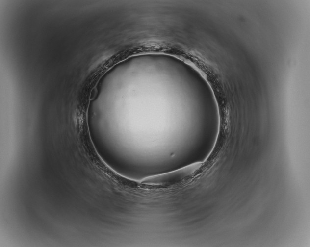 X0000114211302200910161239
