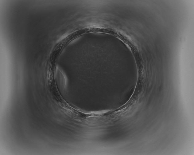 X0000114211303200910161239