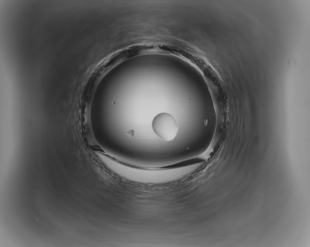 X0000114211304200910161239