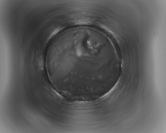 X0000114211306200910161239