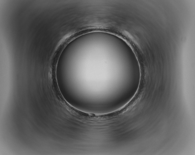 X0000114211307200910161239