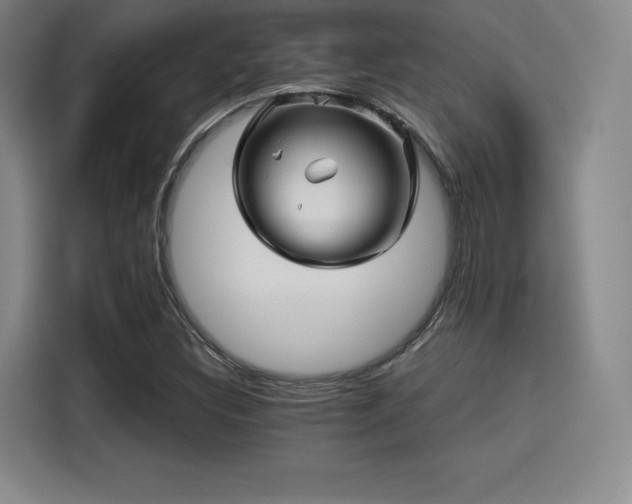 X0000114211308200910161239