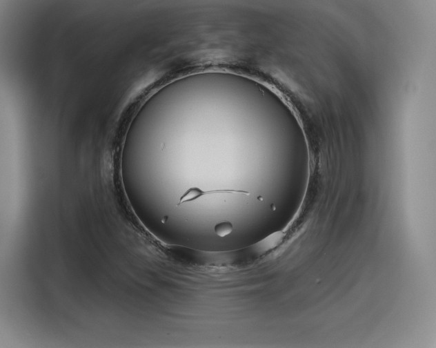 X0000114211309200910161239