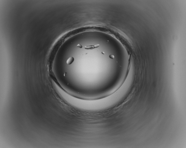 X0000114211310200910161239