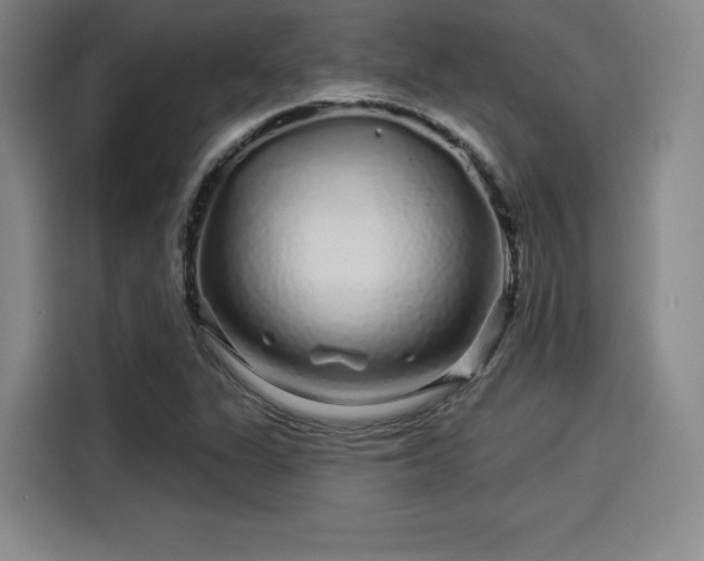 X0000114211311200910161239