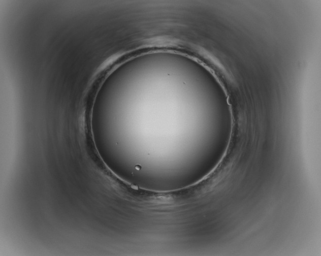 X0000114211315200910161239