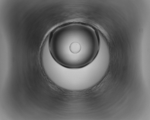 X0000114211316200910161239