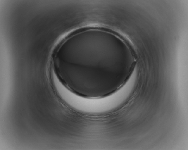 X0000114211319200910161239