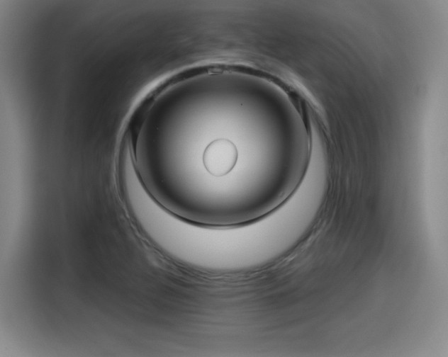 X0000114211320200910161239