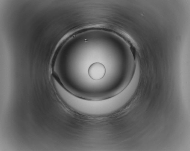X0000114211324200910161239