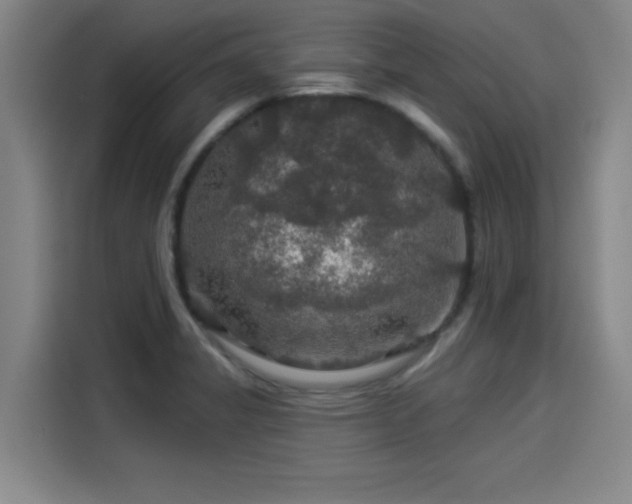 X0000114211325200910161239