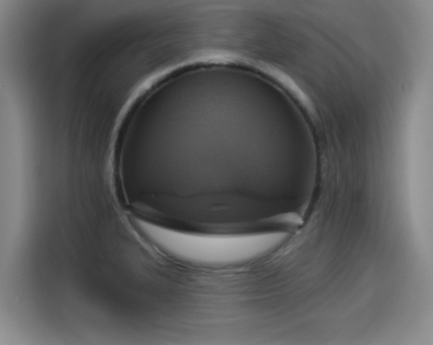 X0000114211327200910161240