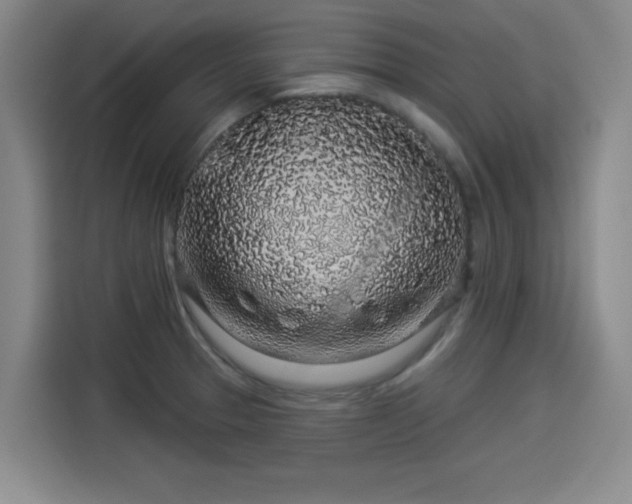 X0000114211329200910161240