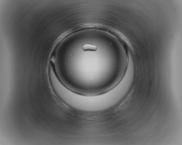 X0000114211330200910161240