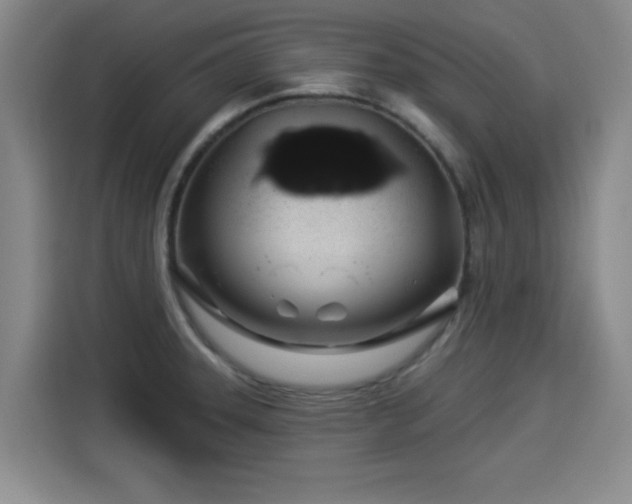 X0000114211331200910161240