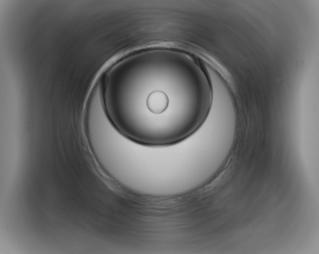 X0000114211332200910161240