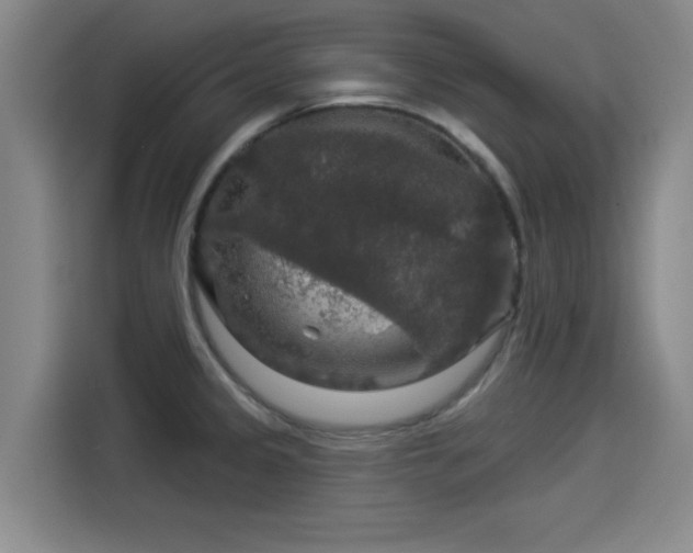 X0000114211333200910161240