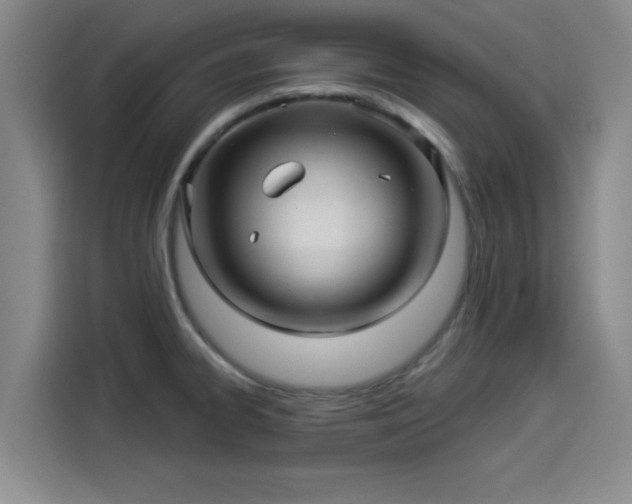 X0000114211334200910161240