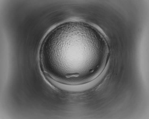X0000114211335200910161240