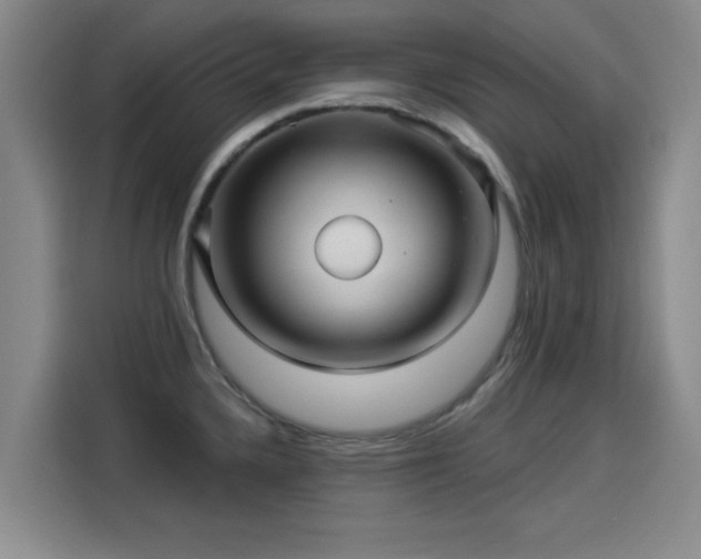 X0000114211336200910161240