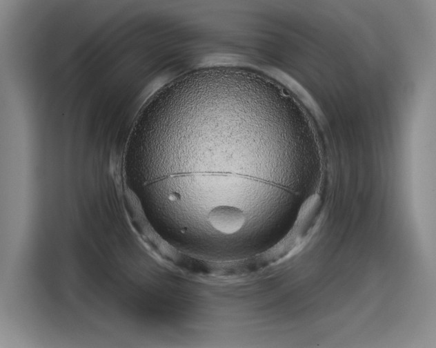 X0000114211337200910161240