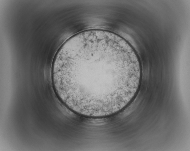 X0000114211338200910161240