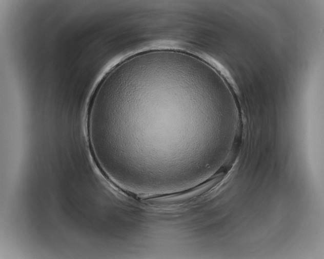X0000114211342200910161240