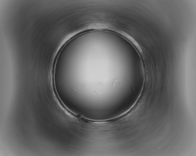 X0000114211343200910161240