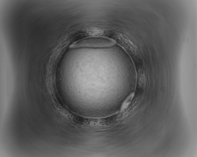 X0000114211345200910161239
