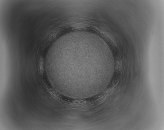 X0000114211346200910161239