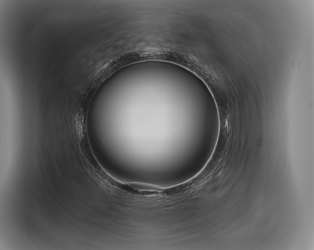 X0000114211348200910161239