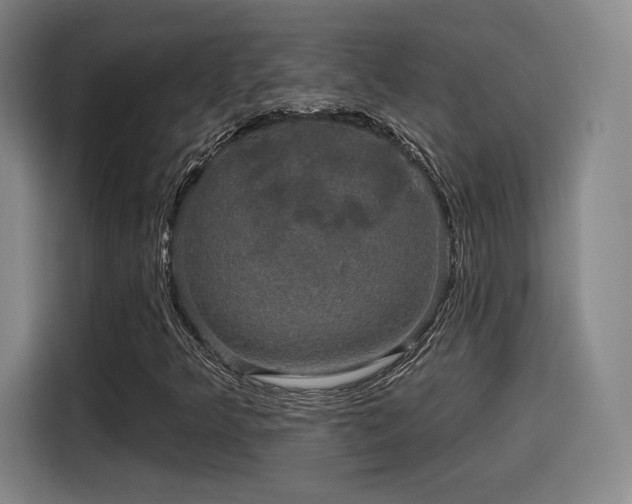 X0000114211349200910161239